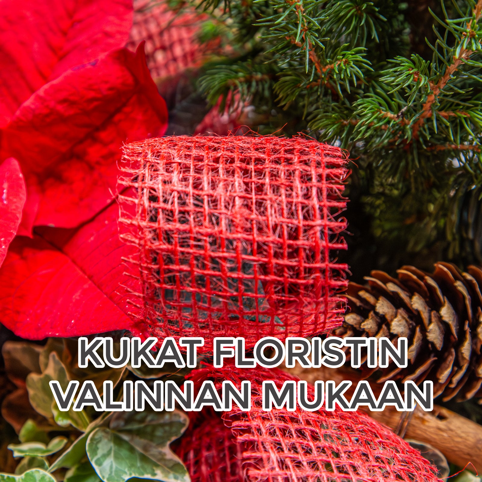 Floristin puna-vihreä jouluistutus