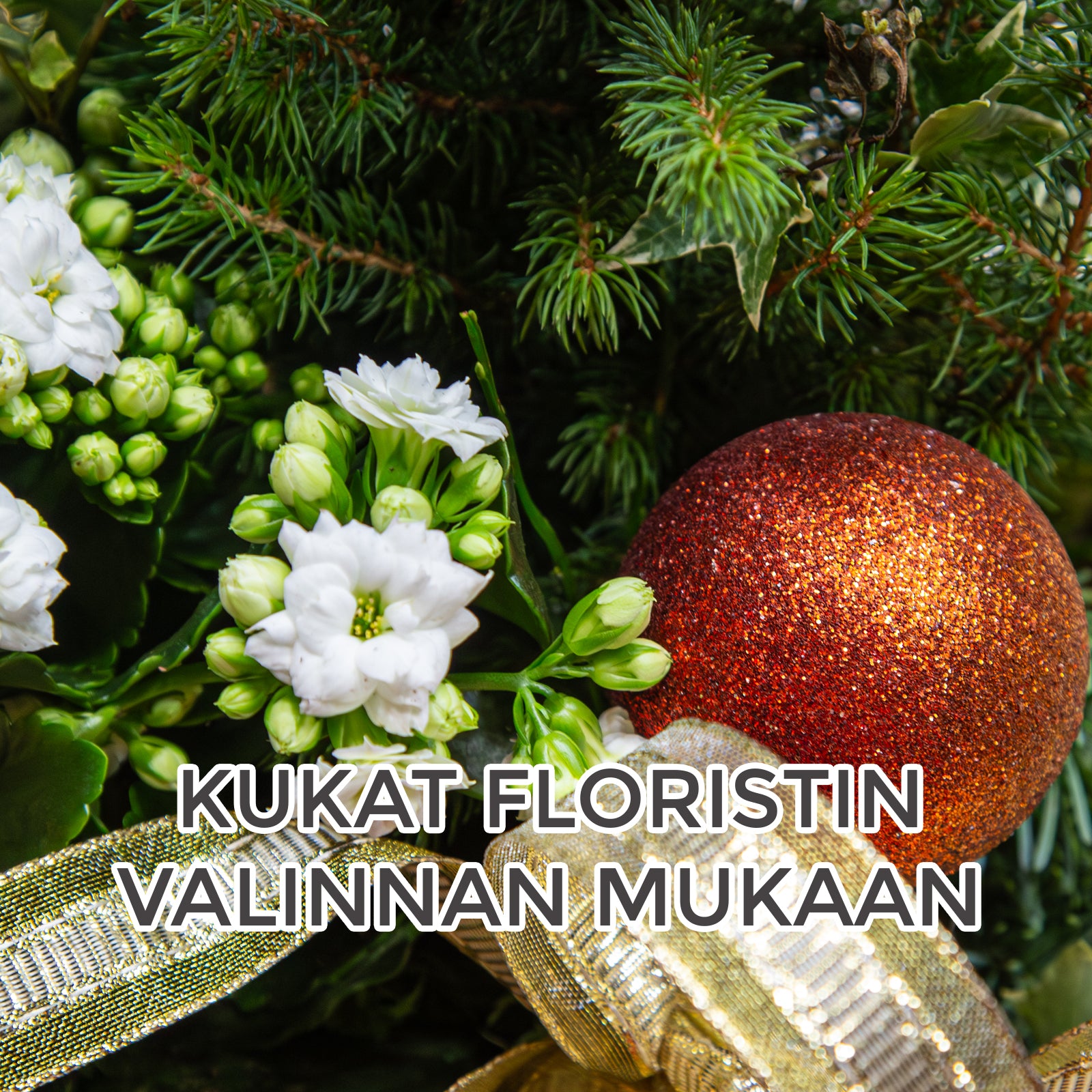 Floristin valko-vihreä jouluistutus