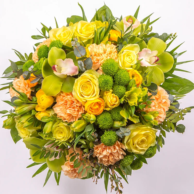 Haluan ilahduttaa sinua