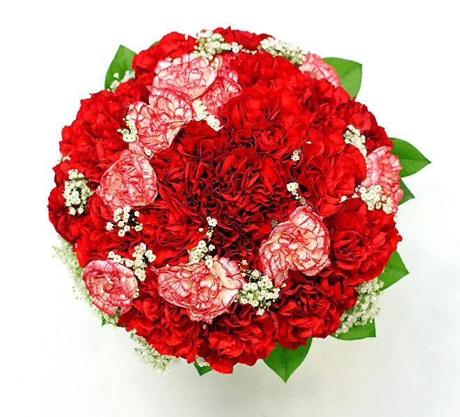 Klassinen neilikkakimppu