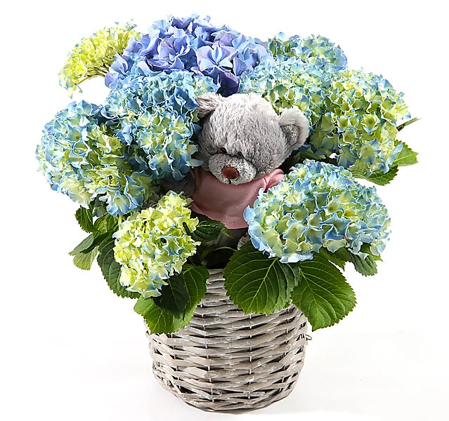Hortensia ihanalle äidille