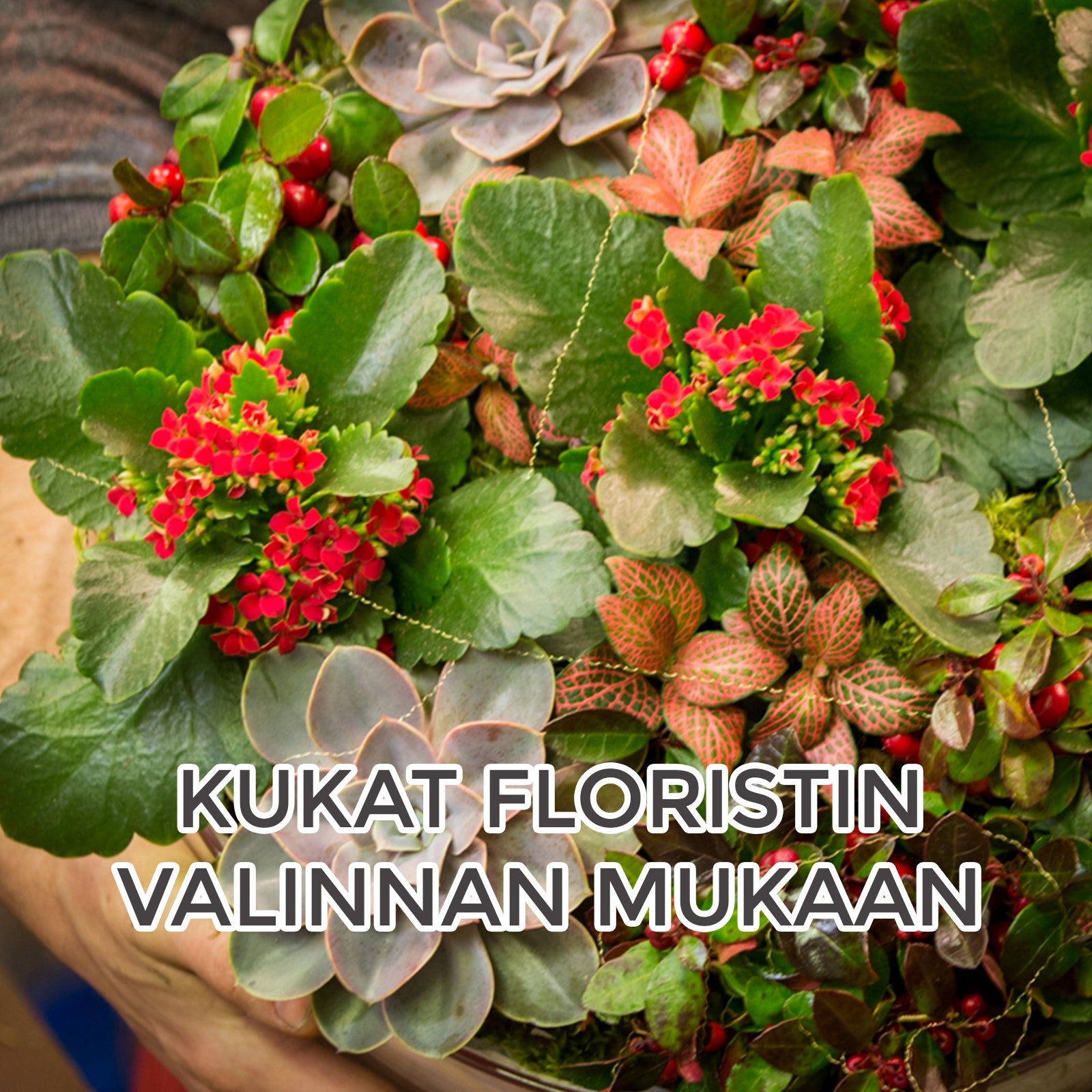 Floristin jouluistutus