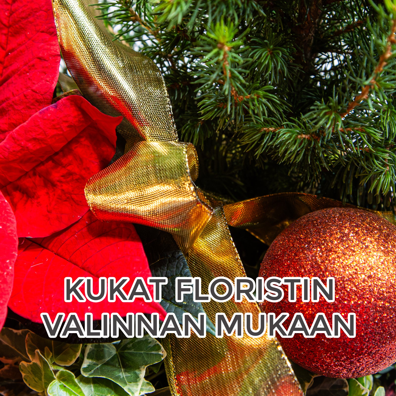 Floristin puna-vihreä jouluistutus