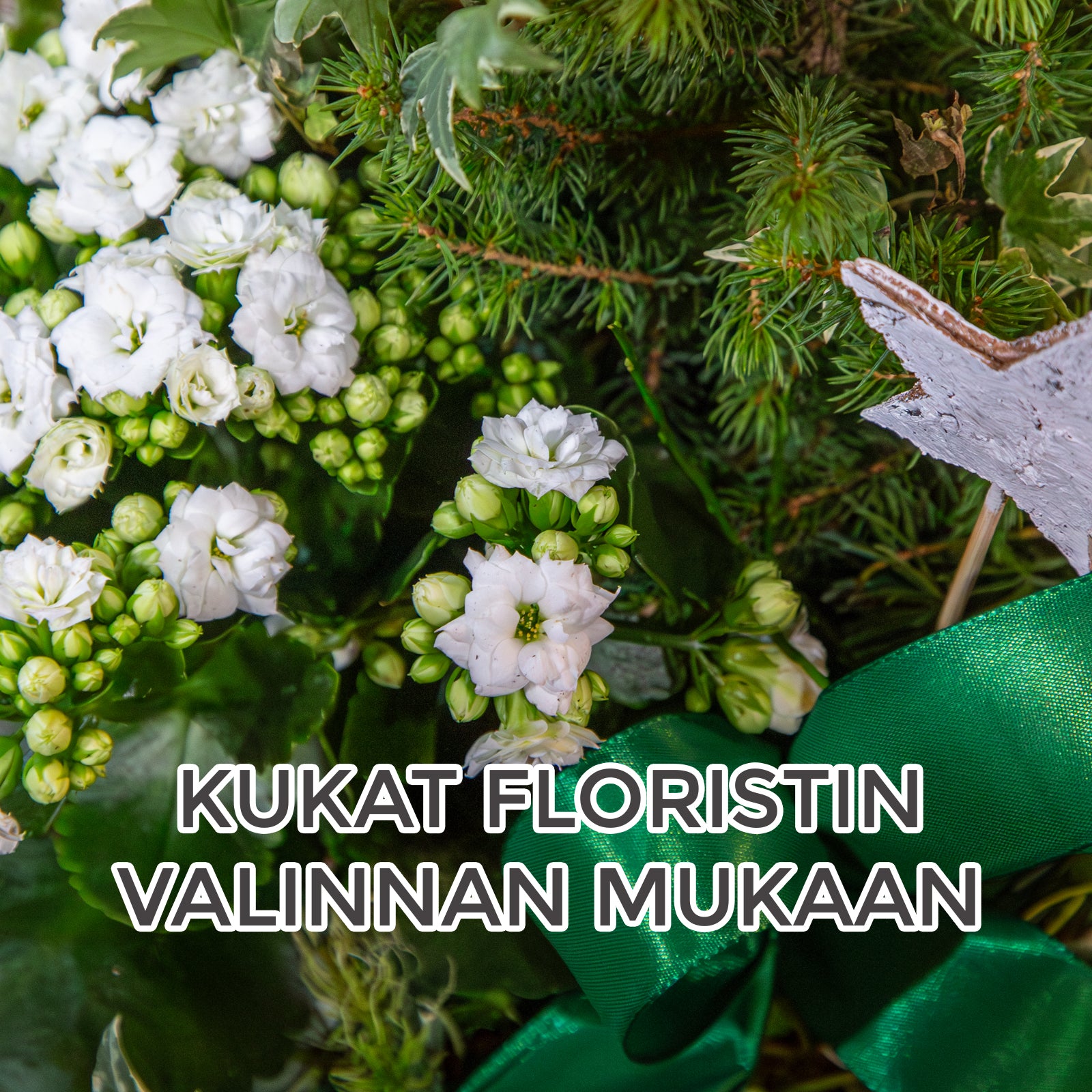 Floristin valko-vihreä jouluistutus